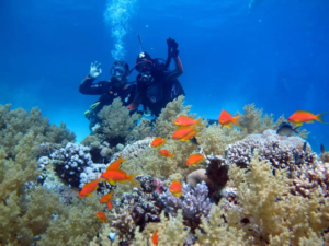 PADI Enriched Air NITROX