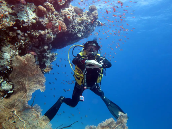 PADI Advanced Open Water Diver PADI Advanced Open Water Diver