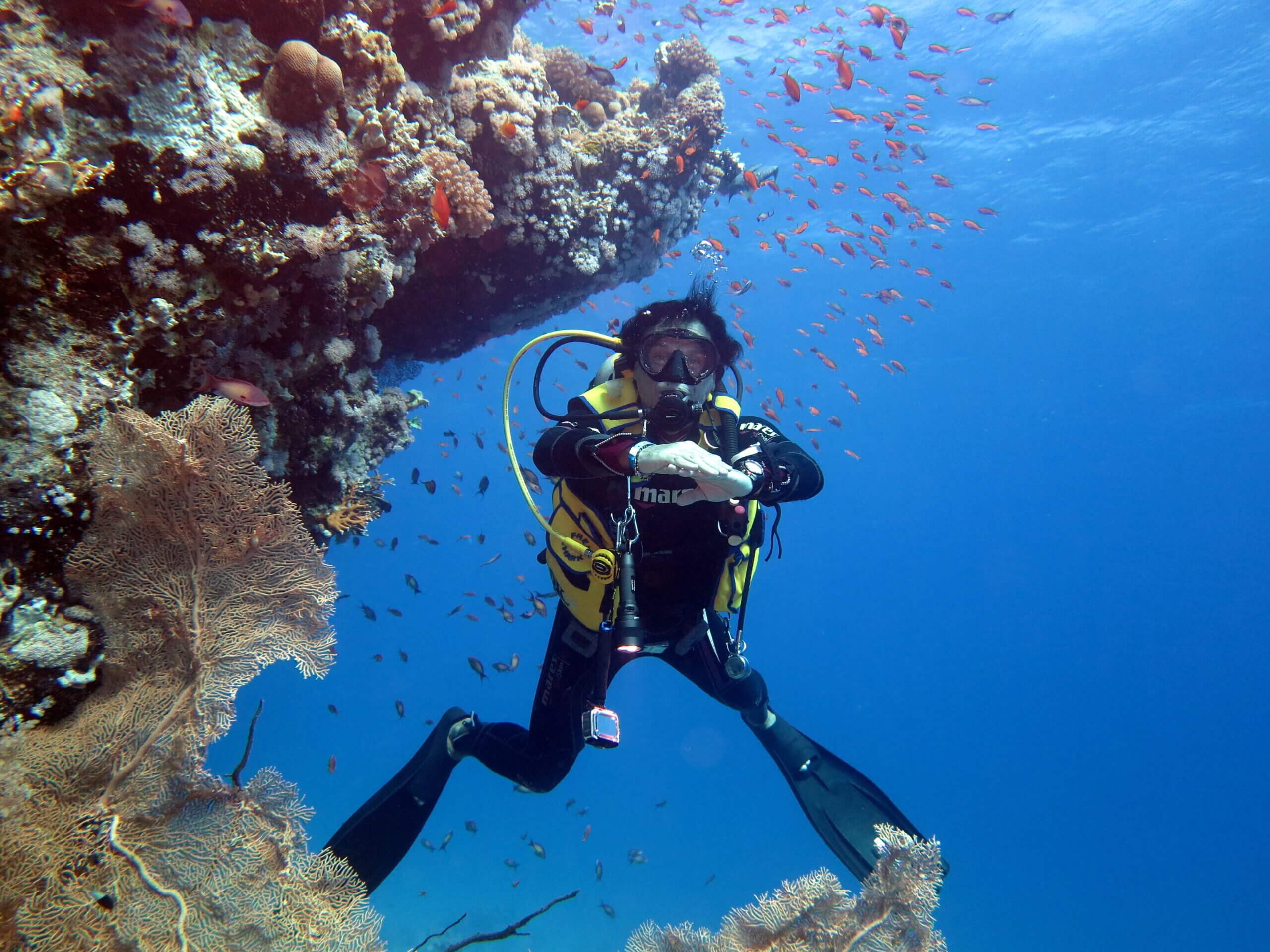 Diving Courses to Marina Divers Sharm El Sheikh