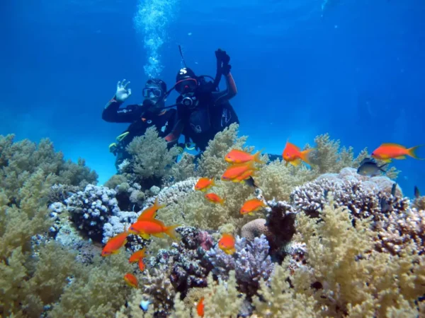 PADI Night Diver